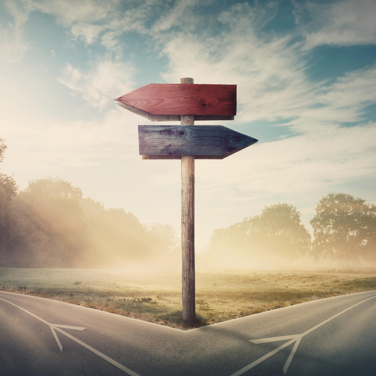 Signpost at a fork in the road